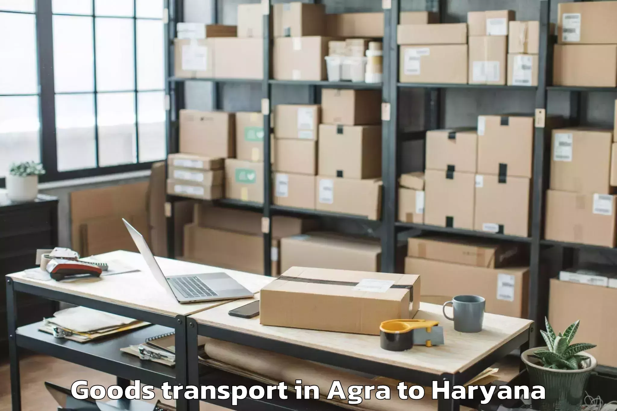 Get Agra to Abhilashi University Faridabad Goods Transport